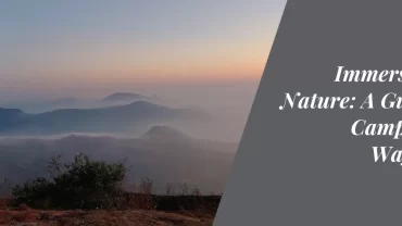 Immersing in Nature: A Guide to Camping in Wayanad