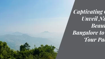 Captivating Coorg: Unveil Nature’s Beauty with Bangalore to Coorg Tour Packages