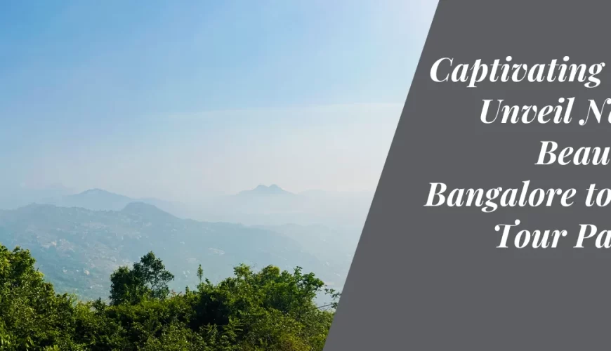 Captivating Coorg: Unveil Nature’s Beauty with Bangalore to Coorg Tour Packages