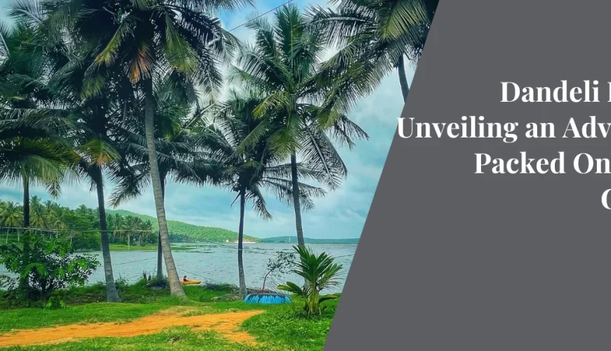 Dandeli Delight: Unveiling an Adventure-Packed One-Night Getaway
