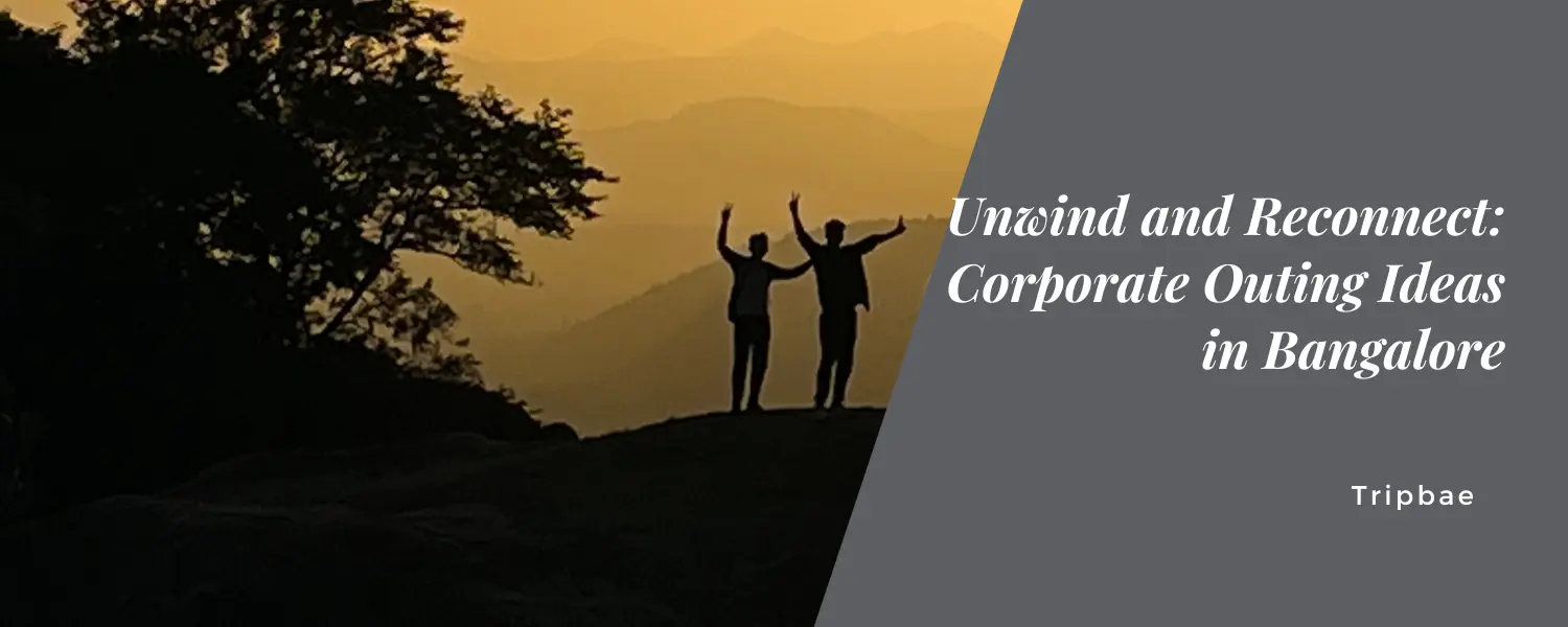 Unwind and Reconnect: Corporate Outing Ideas in Bangalore