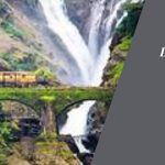 Dive into the Milky Marvel: The Dudhsagar Tour Experience