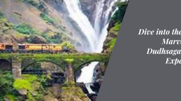 Dive into the Milky Marvel: The Dudhsagar Tour Experience