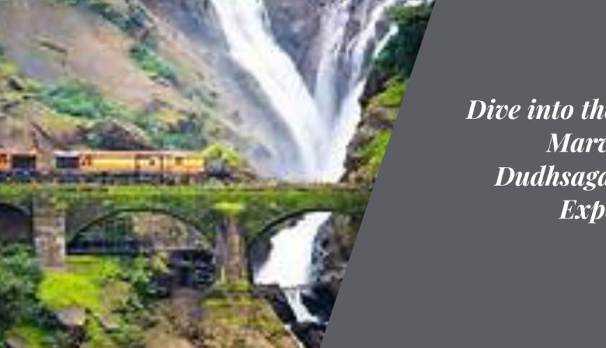 Dive into the Milky Marvel: The Dudhsagar Tour Experience