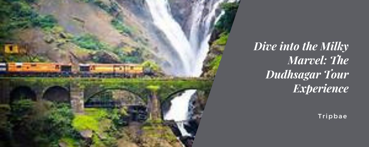 Dive into the Milky Marvel: The Dudhsagar Tour Experience