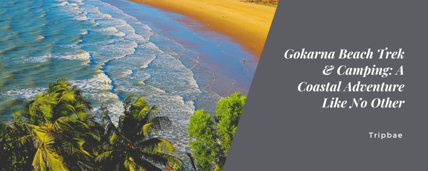 Gokarna Beach Trek & Camping A Coastal Adventure Like No Other