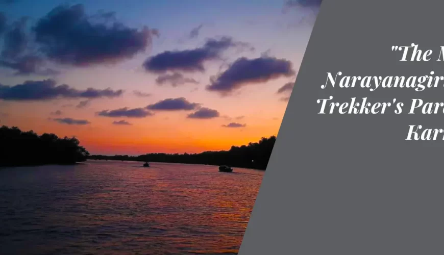 The Majestic Narayanagiri Hill: A Trekker’s Paradise in Karnataka