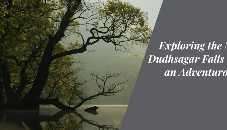 Exploring the Majestic Dudhsagar Falls through an Adventurous Trek