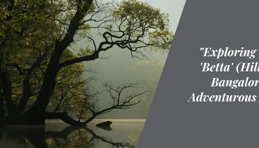 Exploring the Best ‘Betta’ (Hills) Near Bangalore for an Adventurous Escape