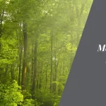 Kaurava Kunda Exploring the Mystical Beauty of Karnataka's Sacred Hill