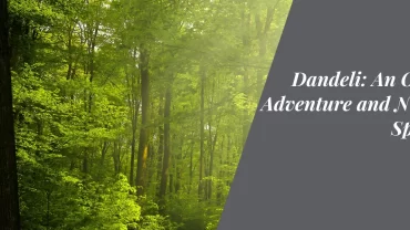 Dandeli: An Oasis of Adventure and Nature’s Splendor