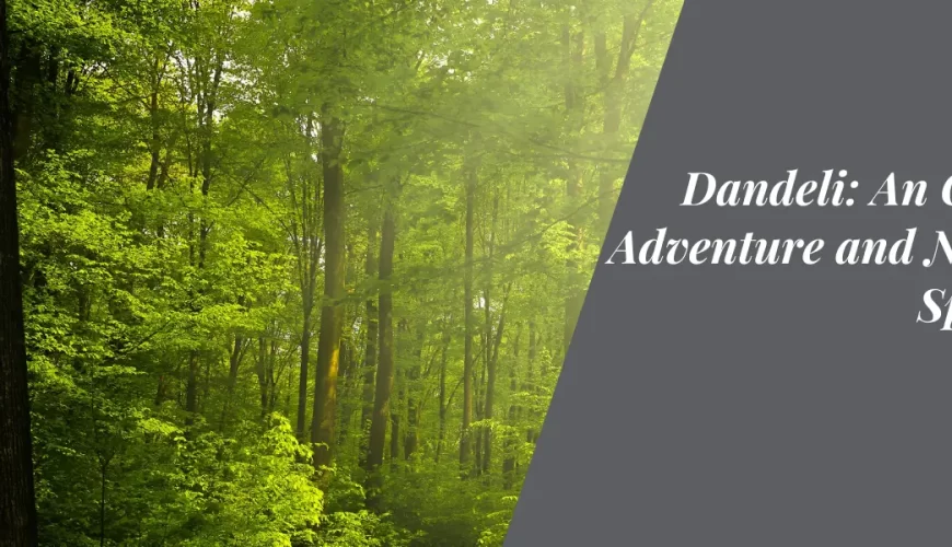 Dandeli: An Oasis of Adventure and Nature’s Splendor