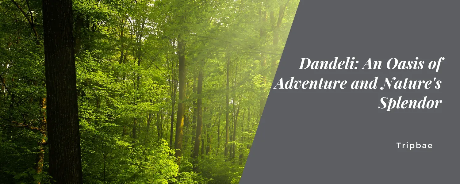 Dandeli: An Oasis of Adventure and Nature’s Splendor