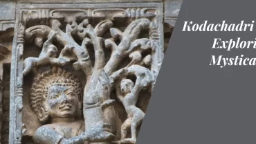 Kodachadri Betta: Exploring the Mystical Peak