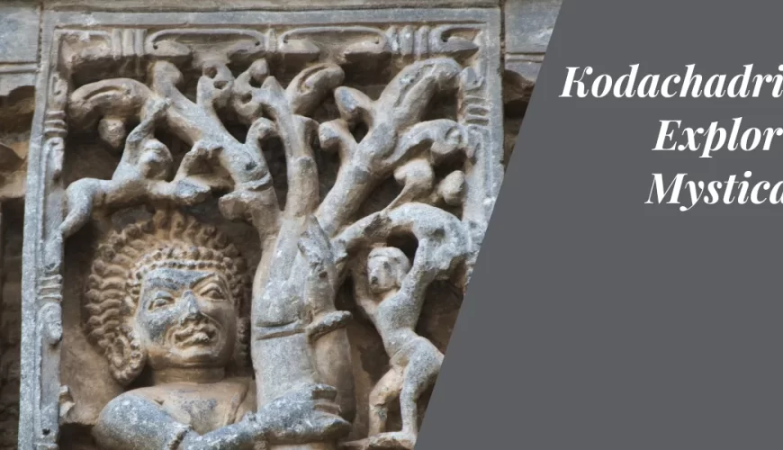 Kodachadri Betta: Exploring the Mystical Peak