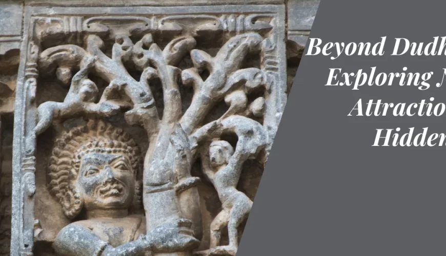 Beyond Dudhsagar: Exploring Nearby Attractions and Hidden Gems