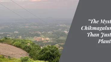 The Mystique of Chikmagalur: More Than Just Coffee Plantations