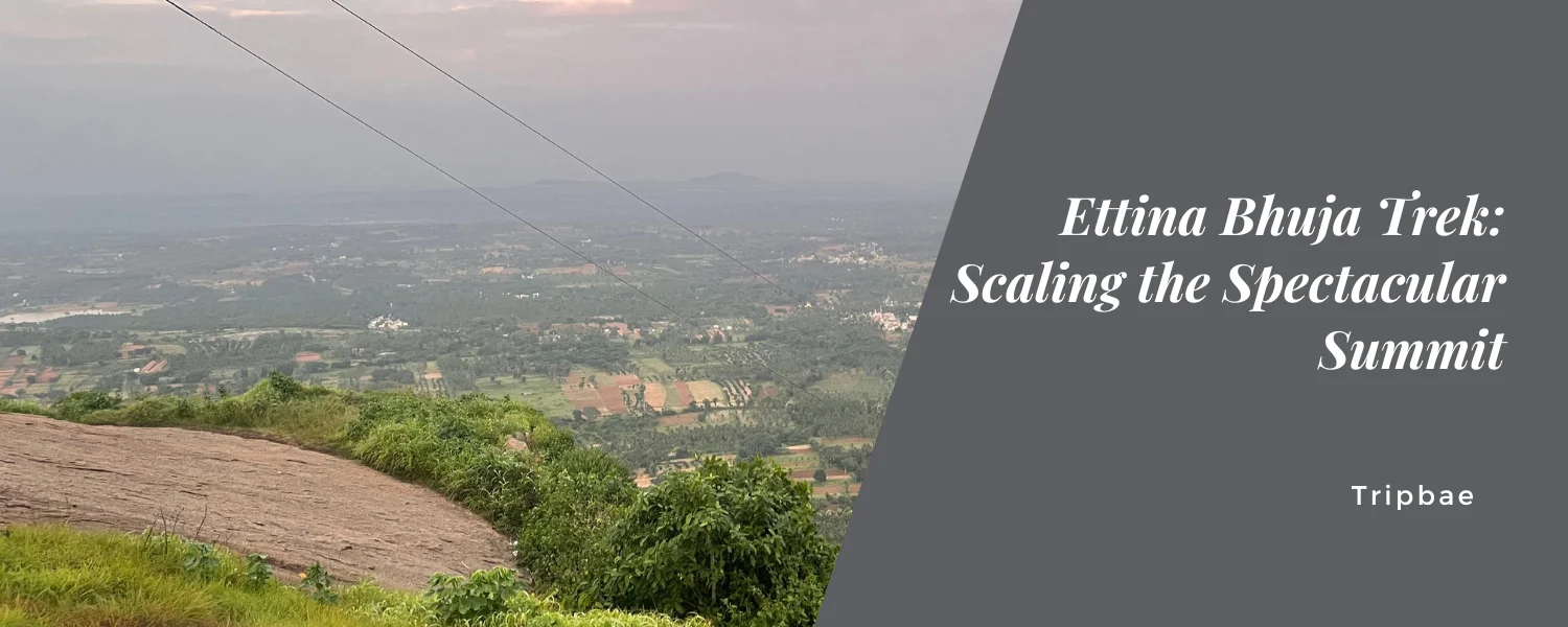 Ettina Bhuja Trek: Scaling the Spectacular Summit