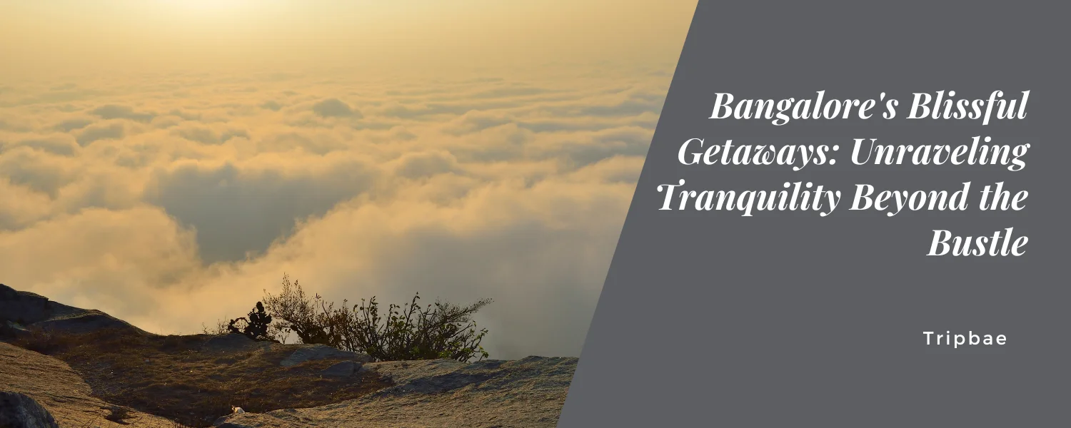 Bangalore’s Blissful Getaways: Unraveling Tranquility Beyond the Bustle