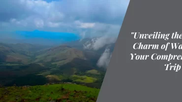 Unveiling the Rustic Charm of Wayanad: Your Comprehensive Trip Guide