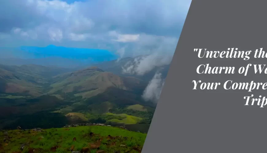 Unveiling the Rustic Charm of Wayanad: Your Comprehensive Trip Guide