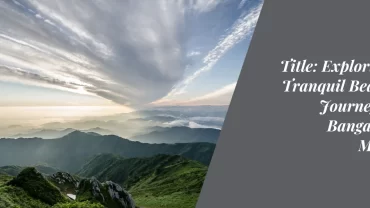 Exploring the Enchanting Journey from Bangalore to Munnar