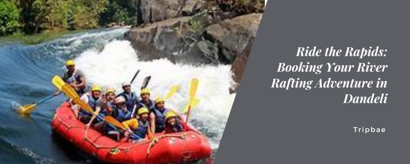 Ride the Rapids: Booking Your River Rafting Adventure in Dandeli - Tripbae