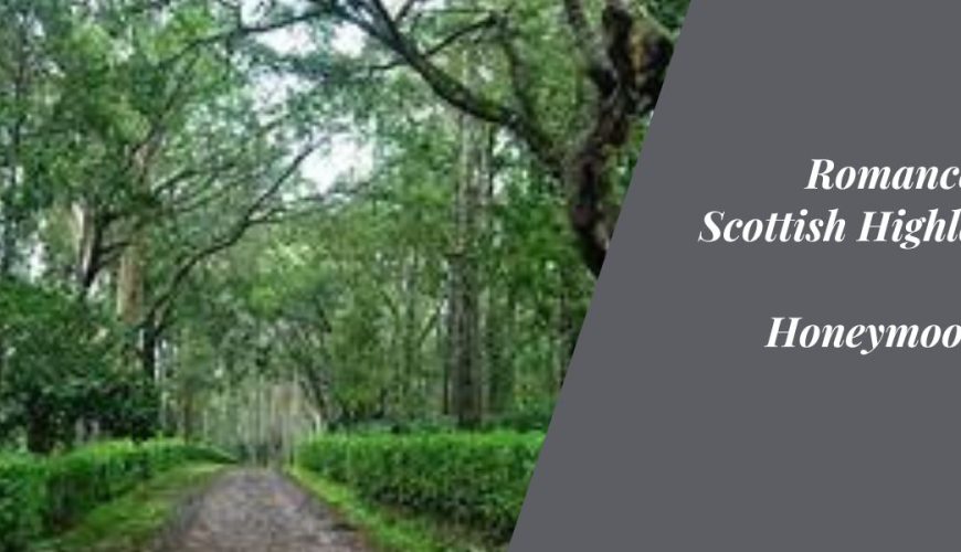 Romance in the Scottish Highlands of India: Honeymooning in Coorg