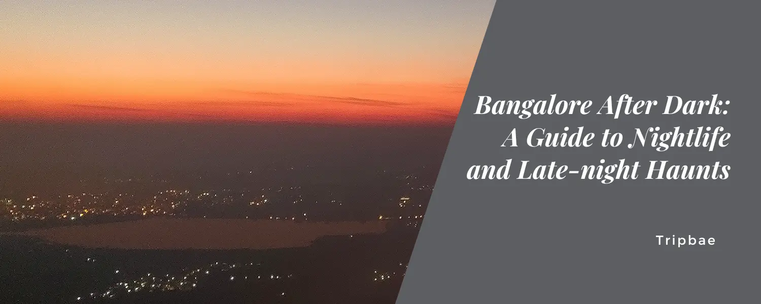 Bangalore After Dark: A Guide to Nightlife and Late-night Haunts