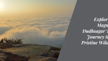 Exploring the Magnificent Dudhsagar Trek: A Journey through Pristine Wilderness