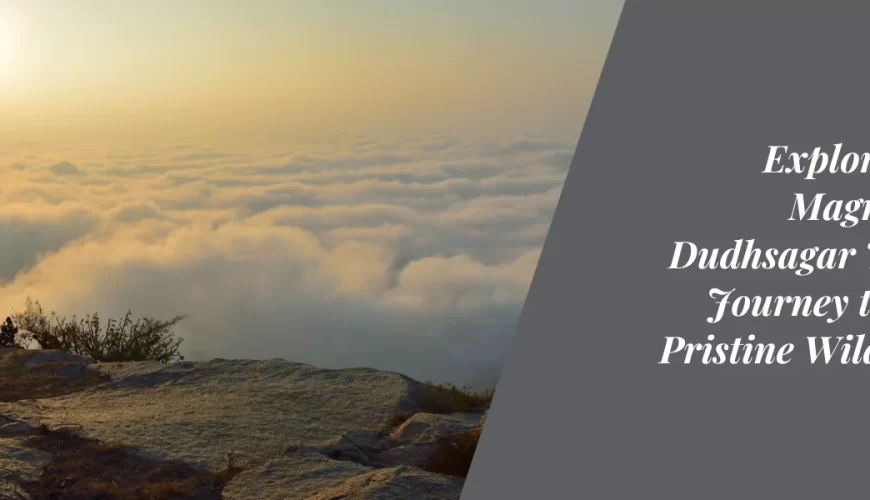 Exploring the Magnificent Dudhsagar Trek: A Journey through Pristine Wilderness