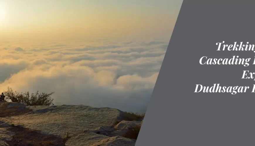 Trekking to the Cascading Beauty Exploring Dudhsagar Falls on Foot
