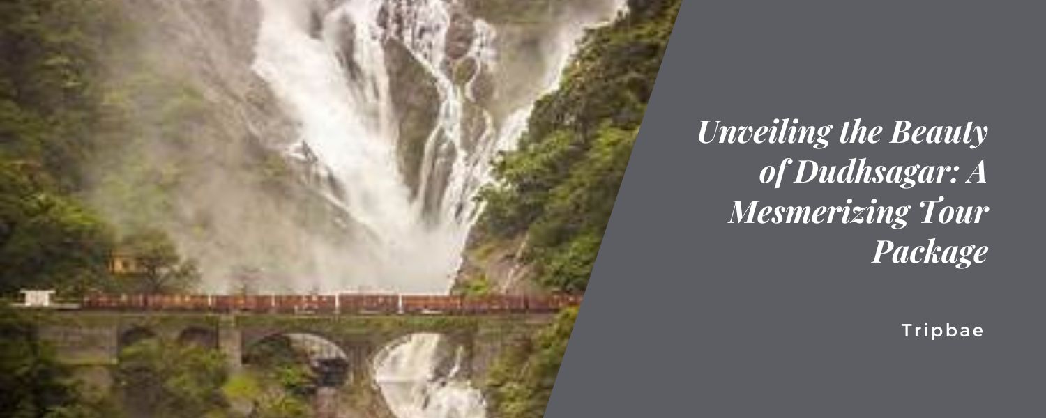 Unveiling the Beauty of Dudhsagar: A Mesmerizing Tour Package