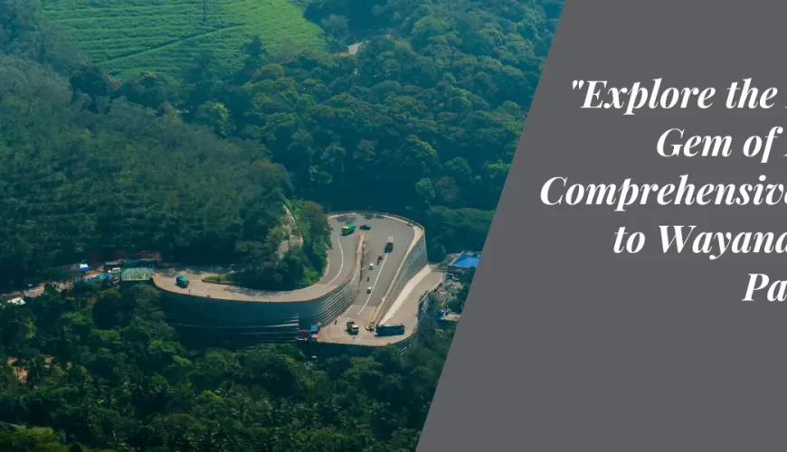 Explore the Hidden Gem of Kerala: Comprehensive Guide to Wayanad Tour Packages