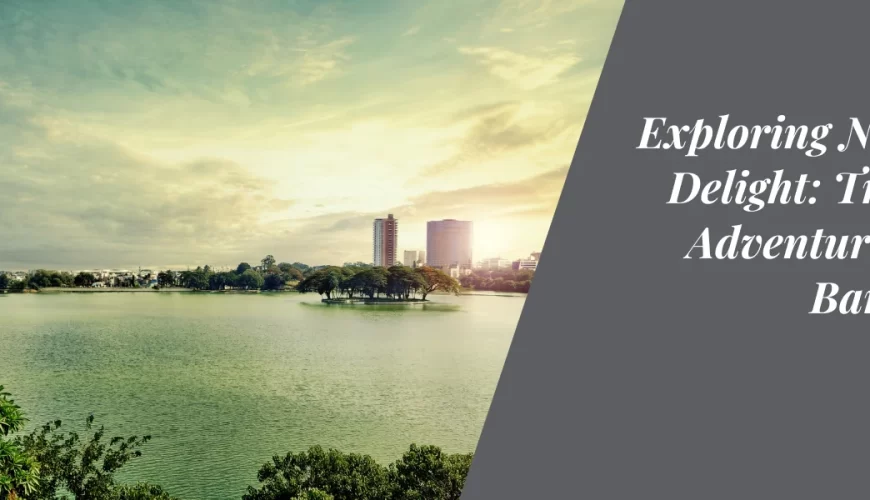 Exploring Nature’s Delight: Trekking Adventures near Bangalore