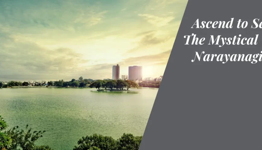 Ascend to Serenity: The Mystical Trek to Narayanagiri Hills