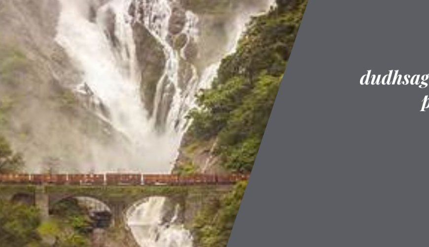 dudhsagar tour package