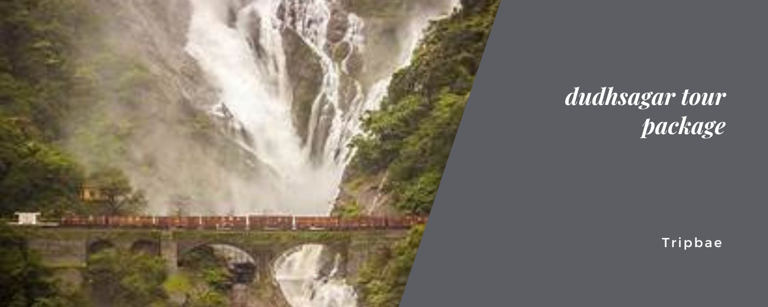 dudhsagar tour package