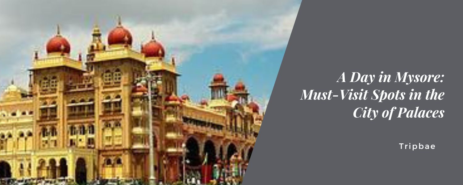 A Day in Mysore: Must-Visit Spots in the City of Palaces