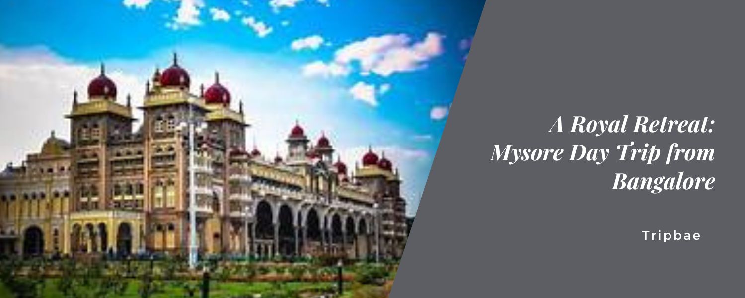 A Royal Retreat: Mysore Day Trip from Bangalore