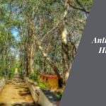 Anthargange Falls: The Hidden Gem of Kolar