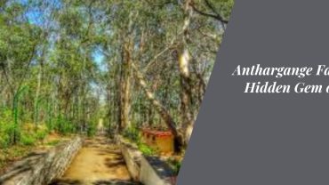 Anthargange Falls: The Hidden Gem of Kolar