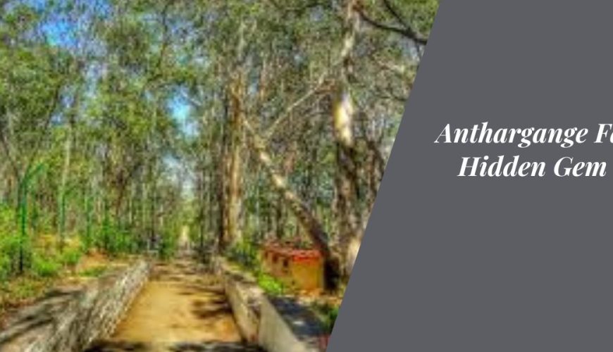 Anthargange Falls: The Hidden Gem of Kolar