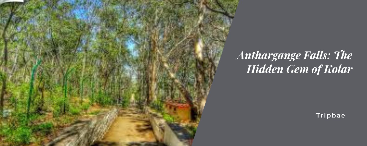 Anthargange Falls: The Hidden Gem of Kolar