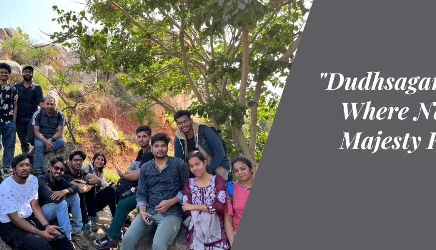 “Dudhsagar Falls: Where Nature’s Majesty Reigns”