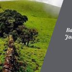 Bandaje Falls Trek: A Journey into Nature's Hidden Paradise