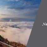 Betta Escapes: Navigating the Online World of Travel Destinations