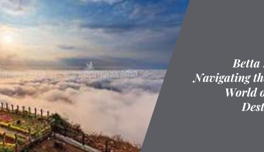 Betta Escapes: Navigating the Online World of Travel Destinations