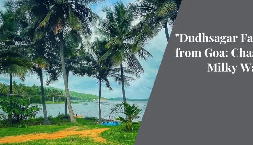 “Dudhsagar Falls Trek from Goa: Chasing the Milky Waterfall”