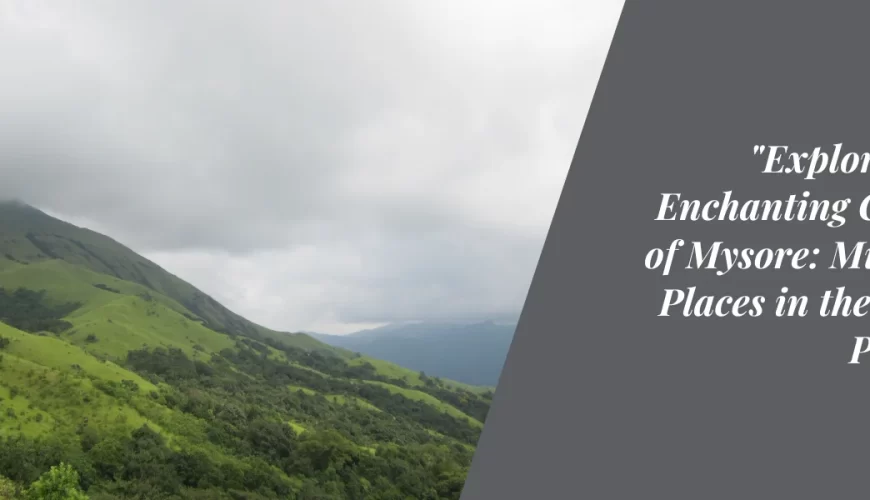 Discover the Charms of Mysore: Must-See Places in the City of Palaces